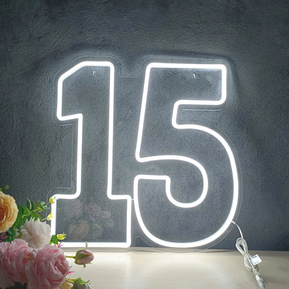 Led Neon Number 15 Sign for 15th Birthday Decorations Dimmable Neon Light for Wall Hang Anniversary Party Lights Large