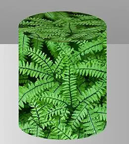 Circle Backdrop Jungle Dinosaur Baby Shower Birthday Party Decor