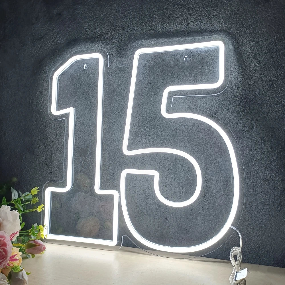 Number 15pcs Sign Led Neon Number 15 Sign for 15th Birthday Decorations Dimmable Neon Li ...