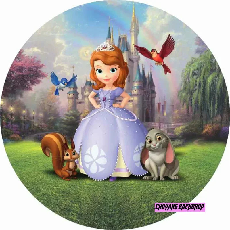 Princess Sofia First Castle Circle Baby Shower Girl Birthday Backdrop