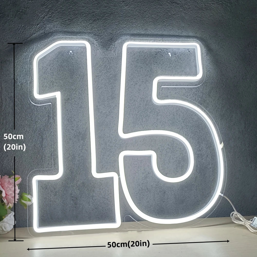 Number 15pcs Sign Led Neon Number 15 Sign for 15th Birthday Decorations Dimmable Neon Li ...
